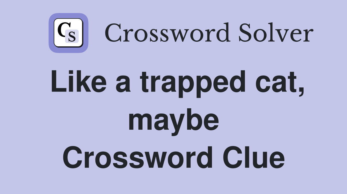 Like a trapped cat, maybe Crossword Clue