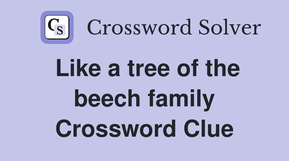 Like a tree of the beech family Crossword Clue