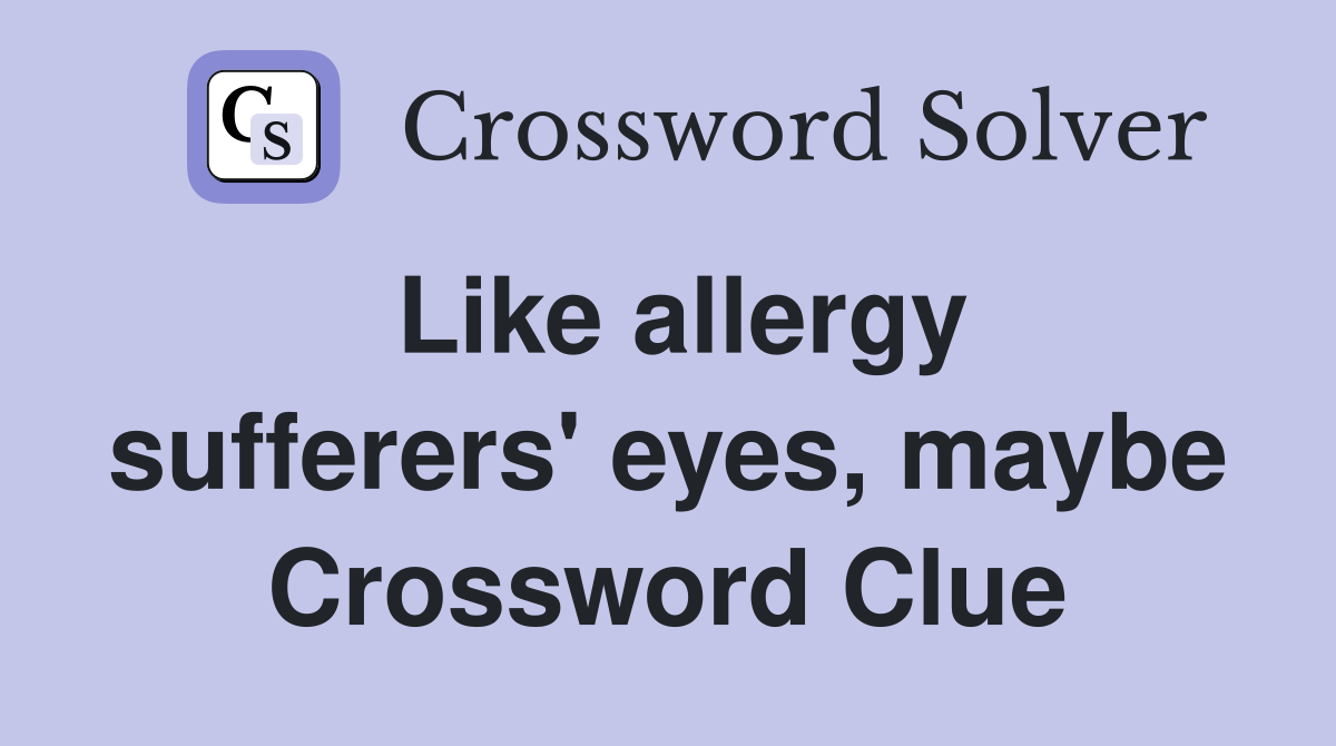 Like allergy sufferers' eyes, maybe Crossword Clue