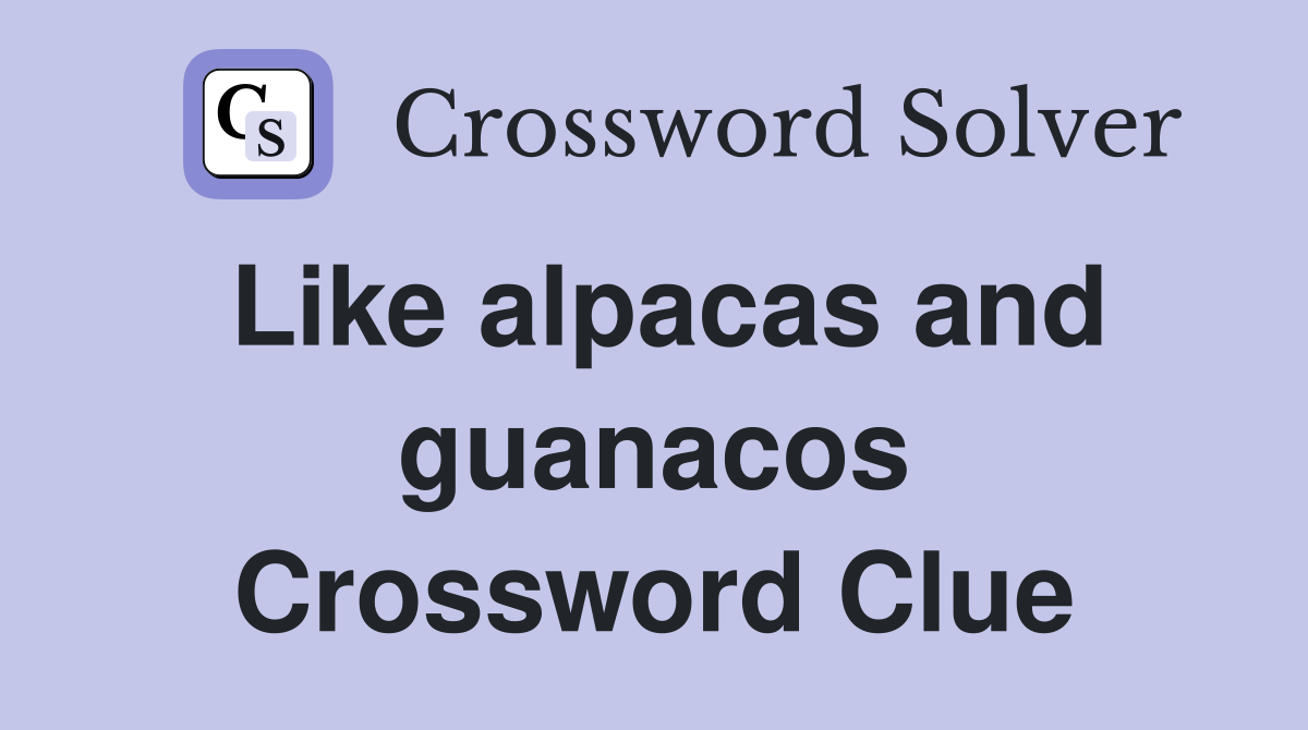 Like alpacas and guanacos Crossword Clue