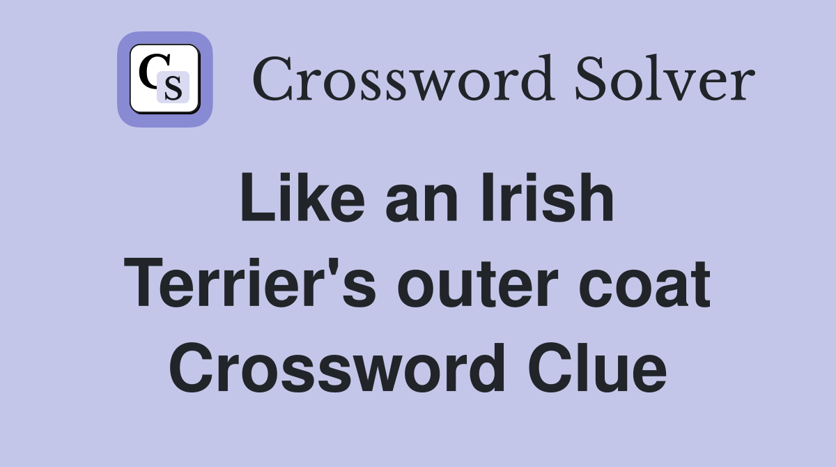 Like an Irish Terrier's outer coat Crossword Clue