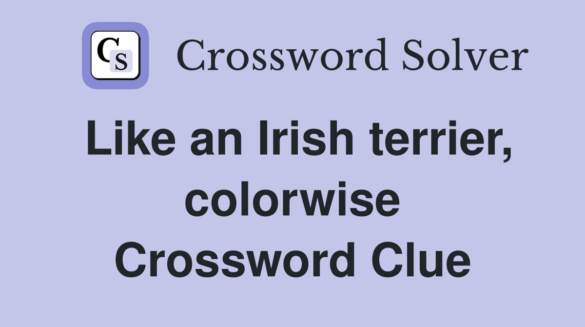 Like an Irish terrier, colorwise Crossword Clue