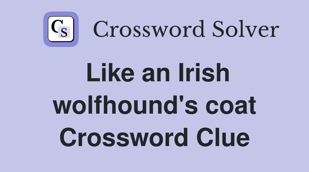 Like an Irish wolfhound's coat Crossword Clue