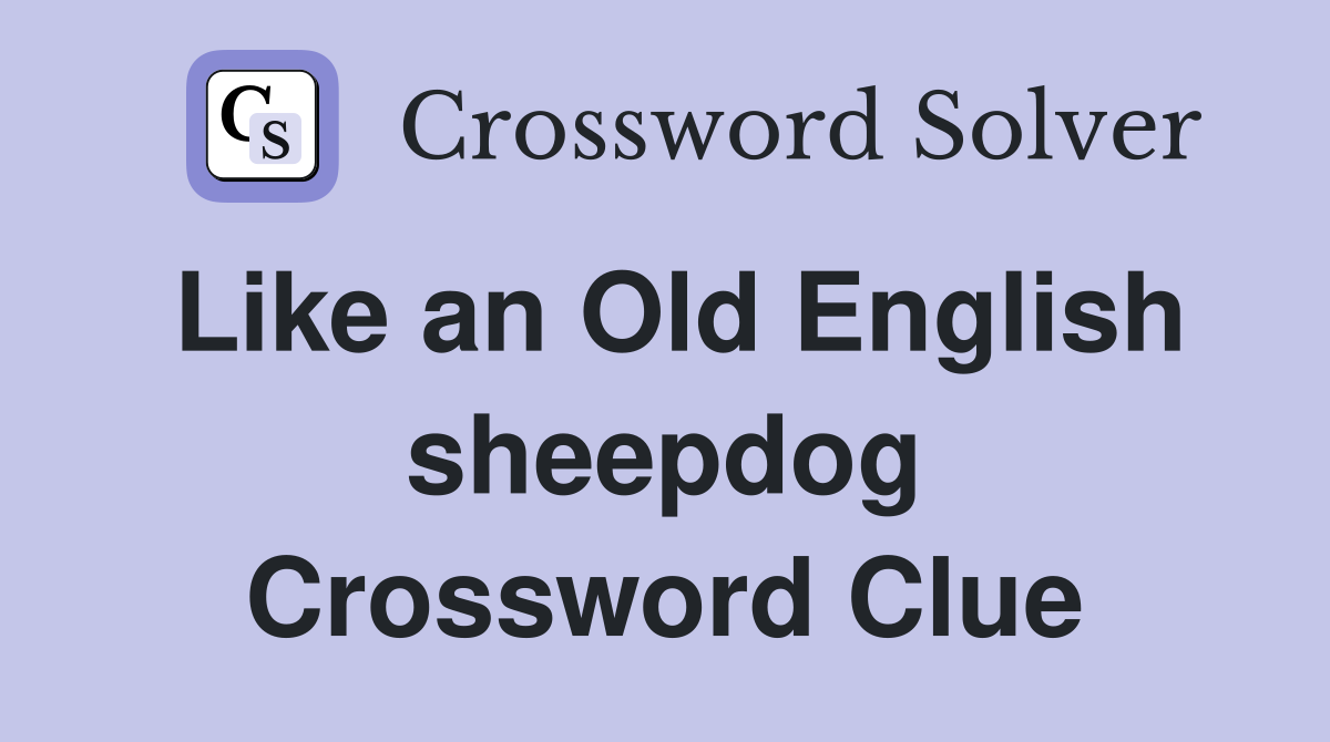 Like an Old English sheepdog Crossword Clue