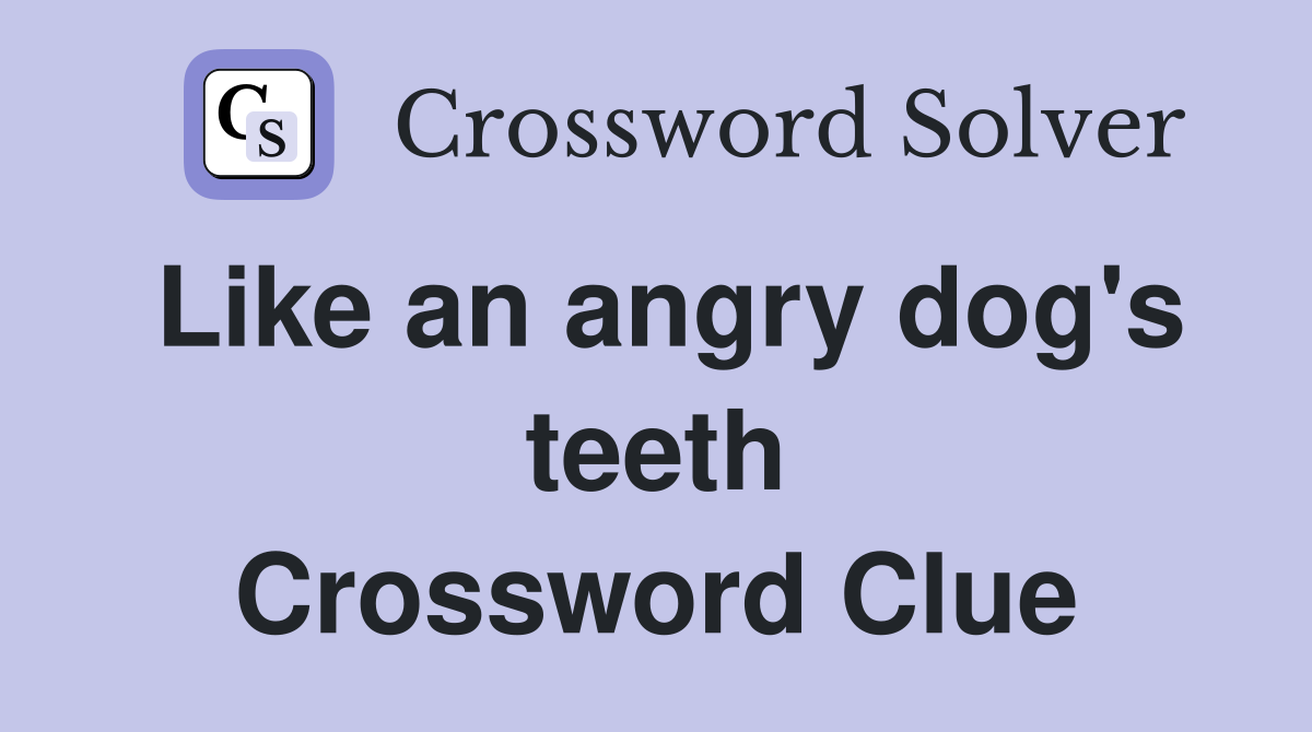 Like an angry dog's teeth Crossword Clue