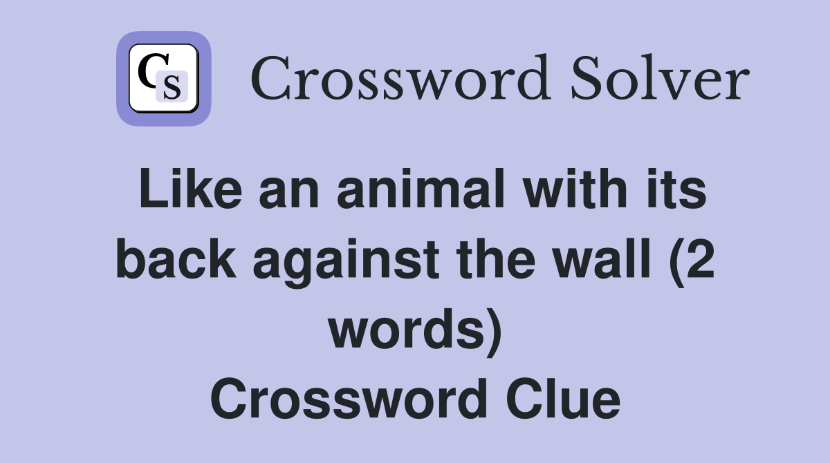 Like an animal with its back against the wall (2 words) Crossword Clue