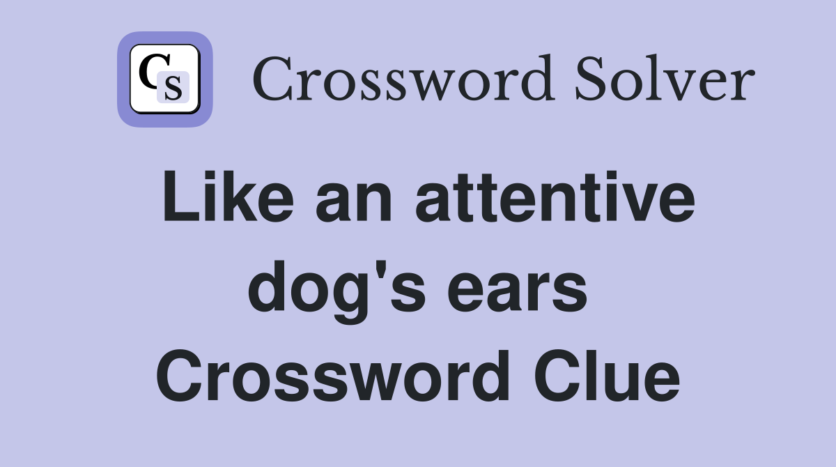 Like an attentive dog's ears Crossword Clue