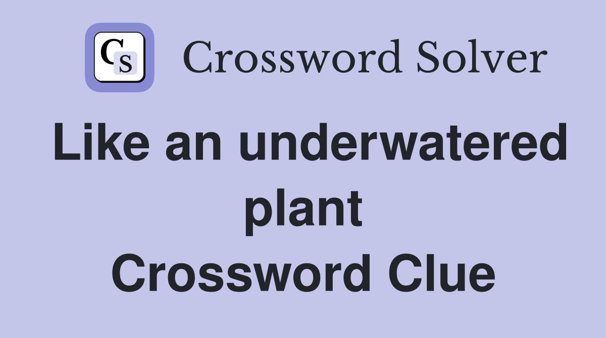 Like an underwatered plant Crossword Clue