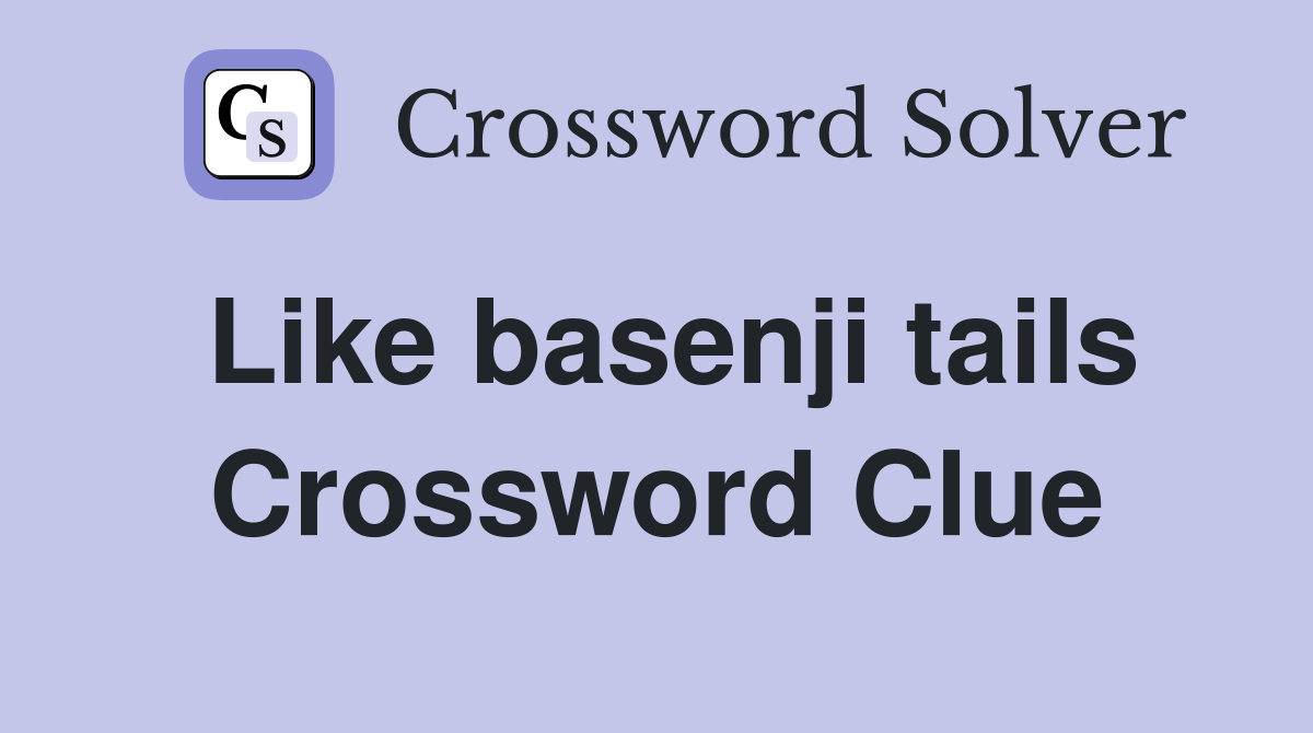 Like basenji tails Crossword Clue