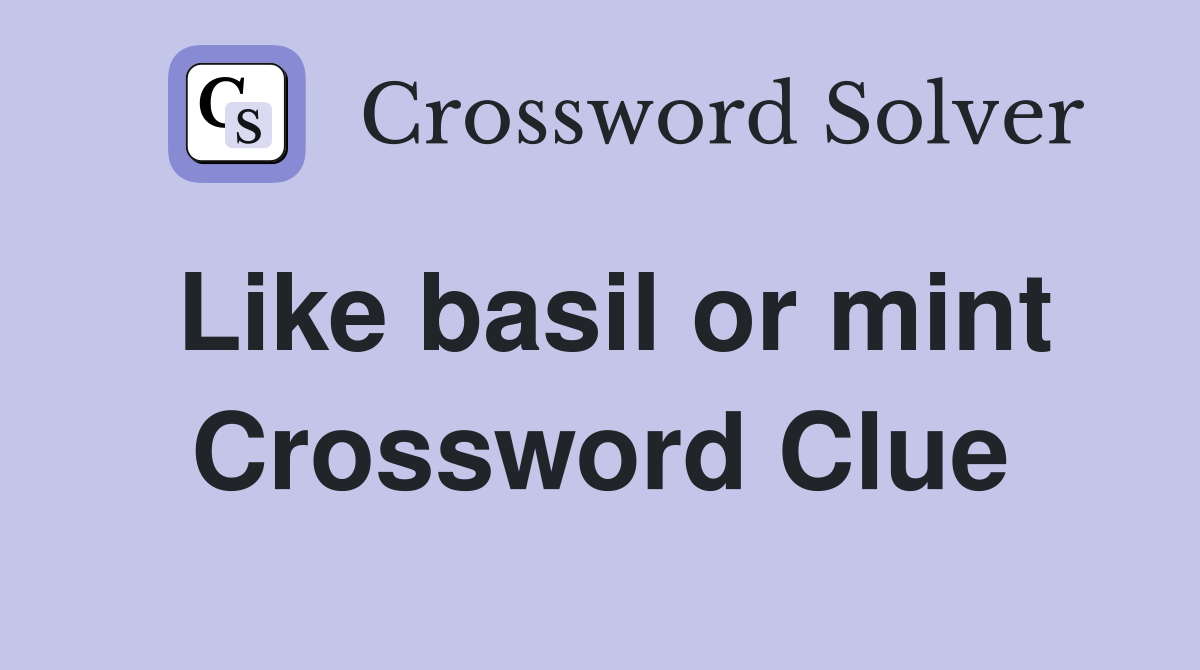 Like basil or mint Crossword Clue