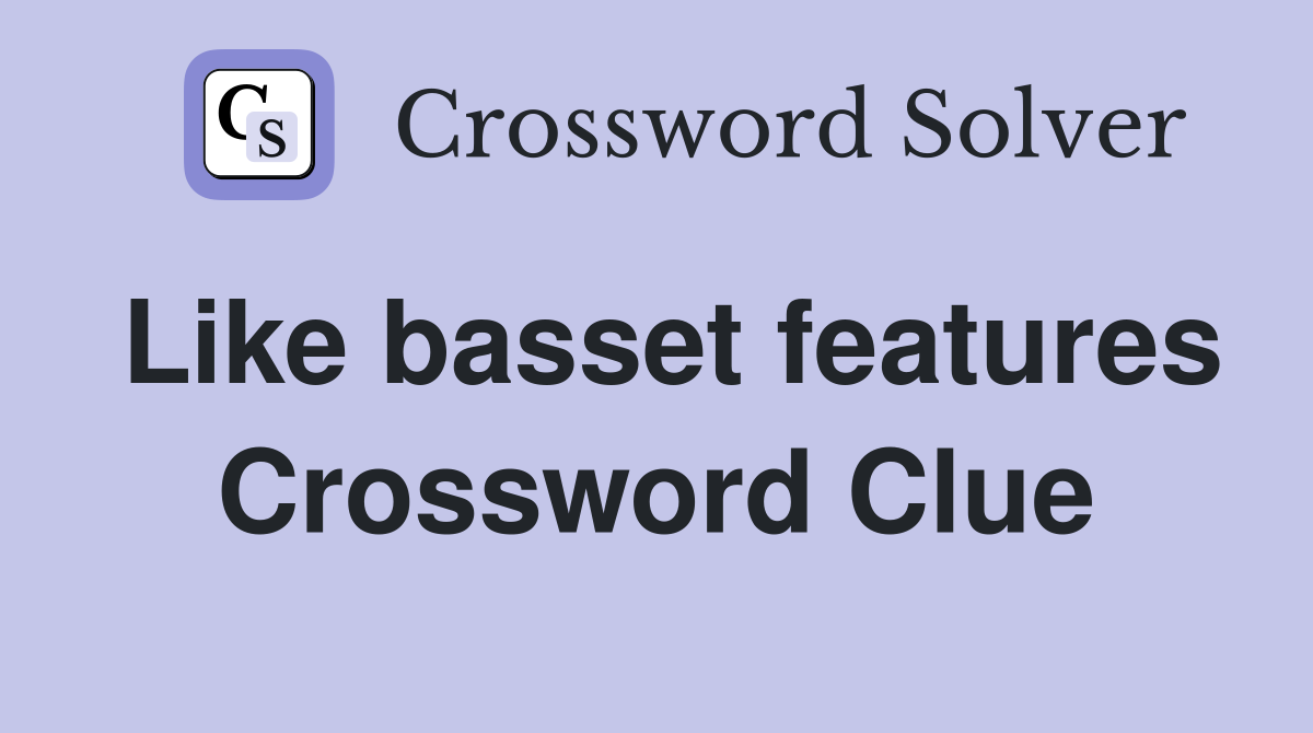 Like basset features Crossword Clue