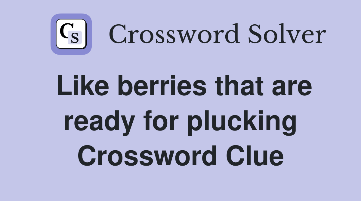 Like berries that are ready for plucking Crossword Clue