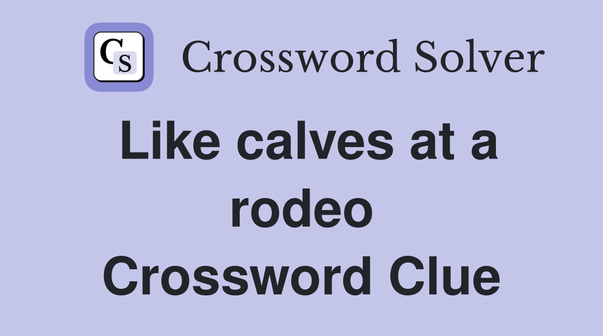 Like calves at a rodeo Crossword Clue