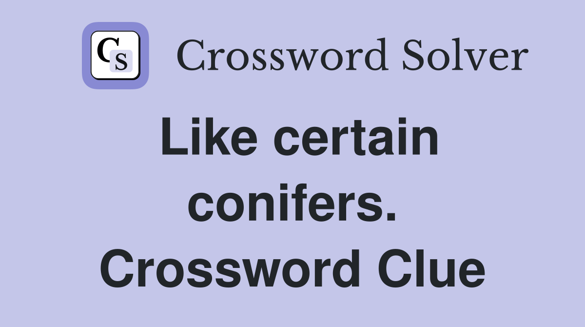 Like certain conifers. Crossword Clue