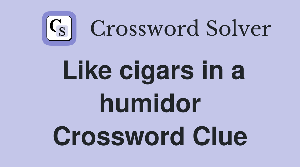 Like cigars in a humidor Crossword Clue