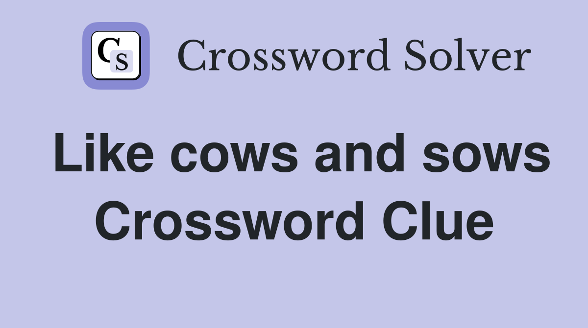Like cows and sows Crossword Clue