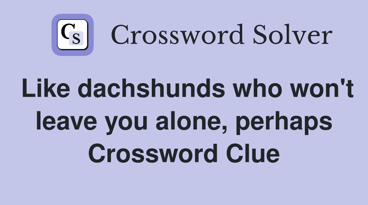 Like dachshunds who won't leave you alone, perhaps Crossword Clue