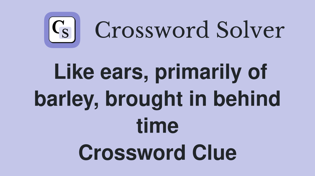 Like ears, primarily of barley, brought in behind time Crossword Clue