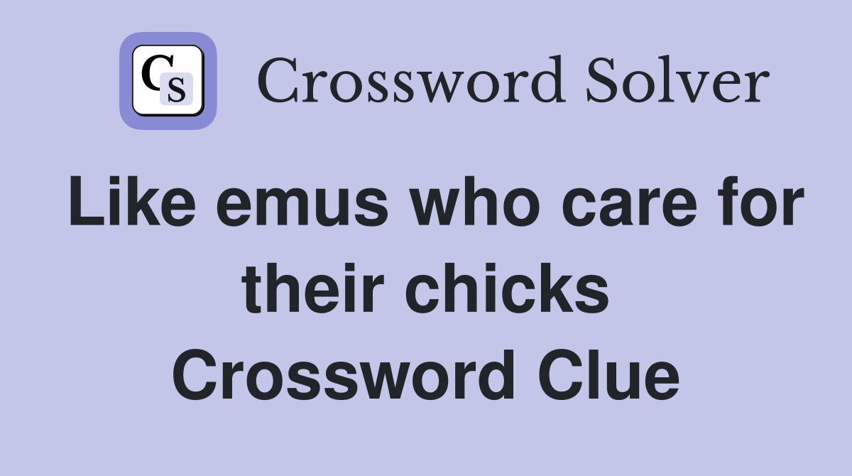 Like emus who care for their chicks Crossword Clue