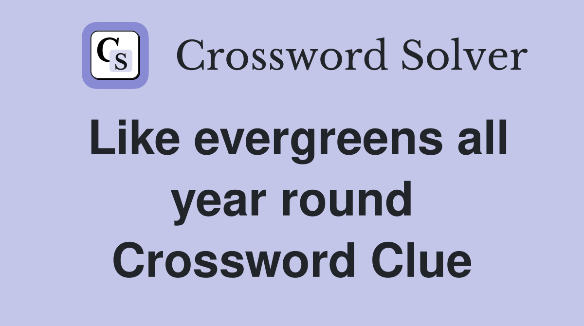 Like evergreens all year round Crossword Clue