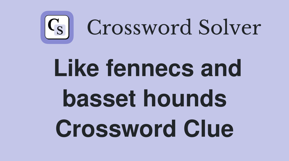 Like fennecs and basset hounds Crossword Clue