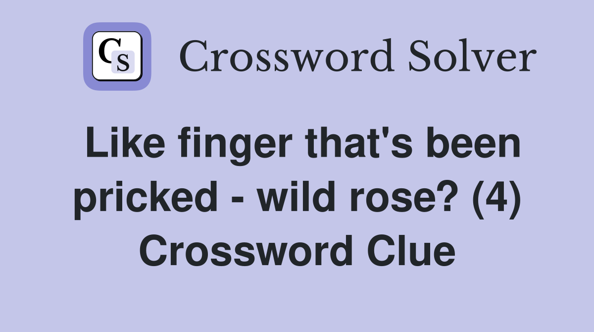 Like finger that's been pricked - wild rose? (4) Crossword Clue