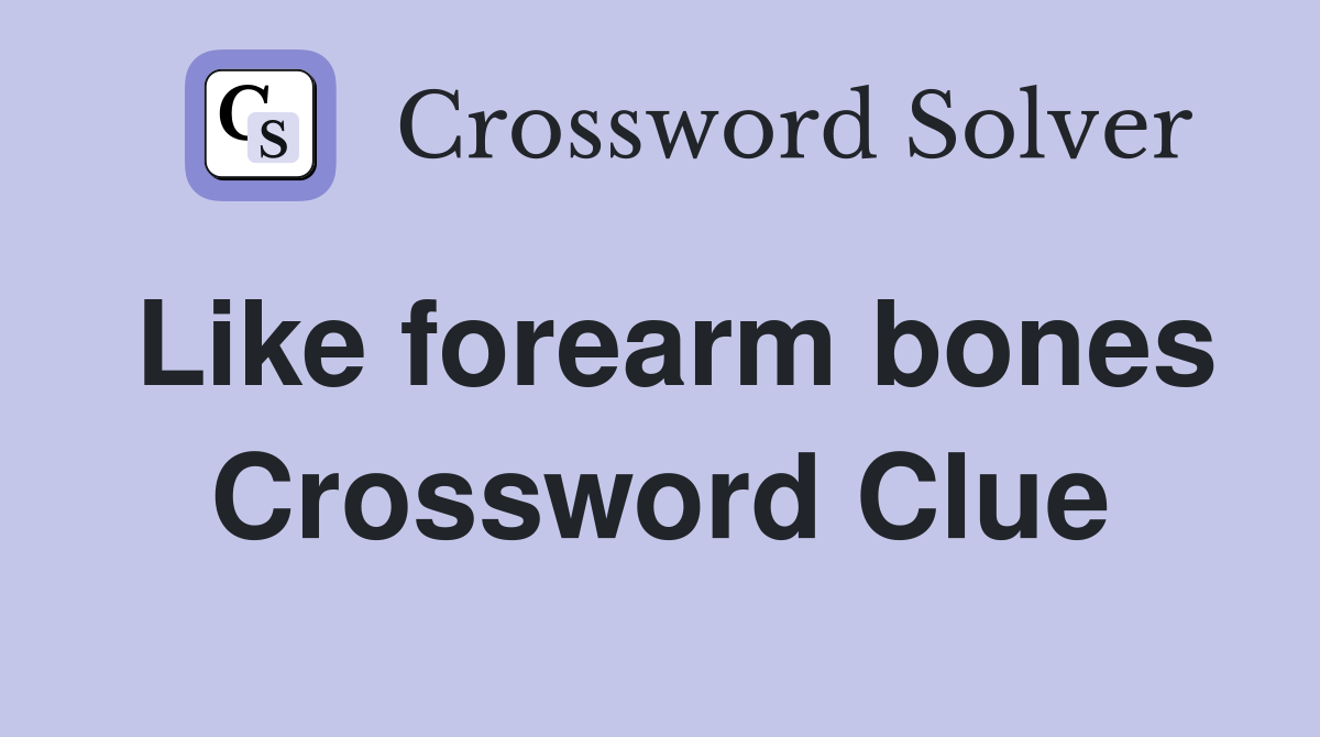 Like forearm bones Crossword Clue
