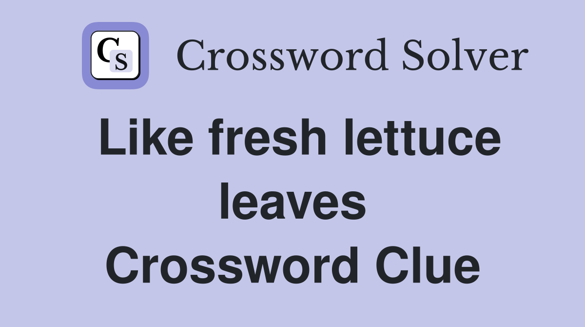 Like fresh lettuce leaves Crossword Clue