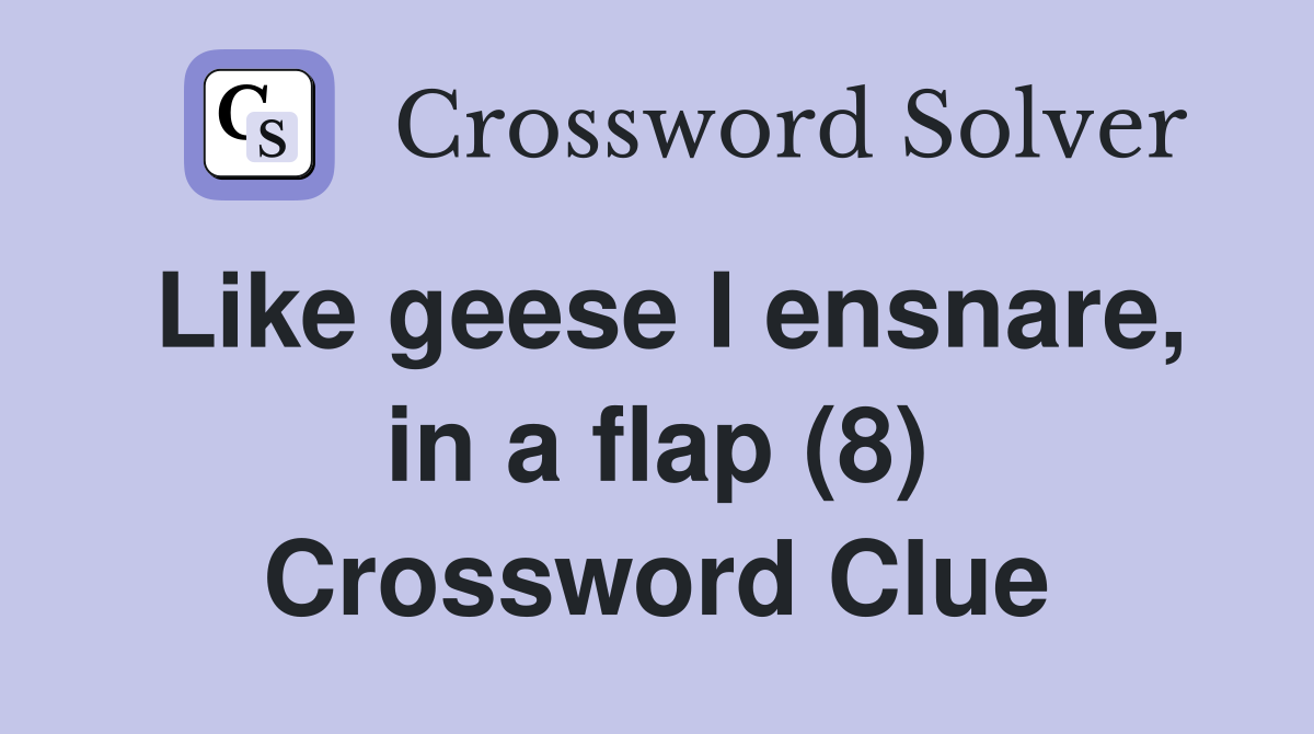 Like geese I ensnare, in a flap (8) Crossword Clue