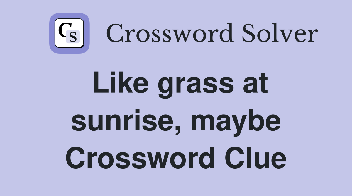 Like grass at sunrise, maybe Crossword Clue