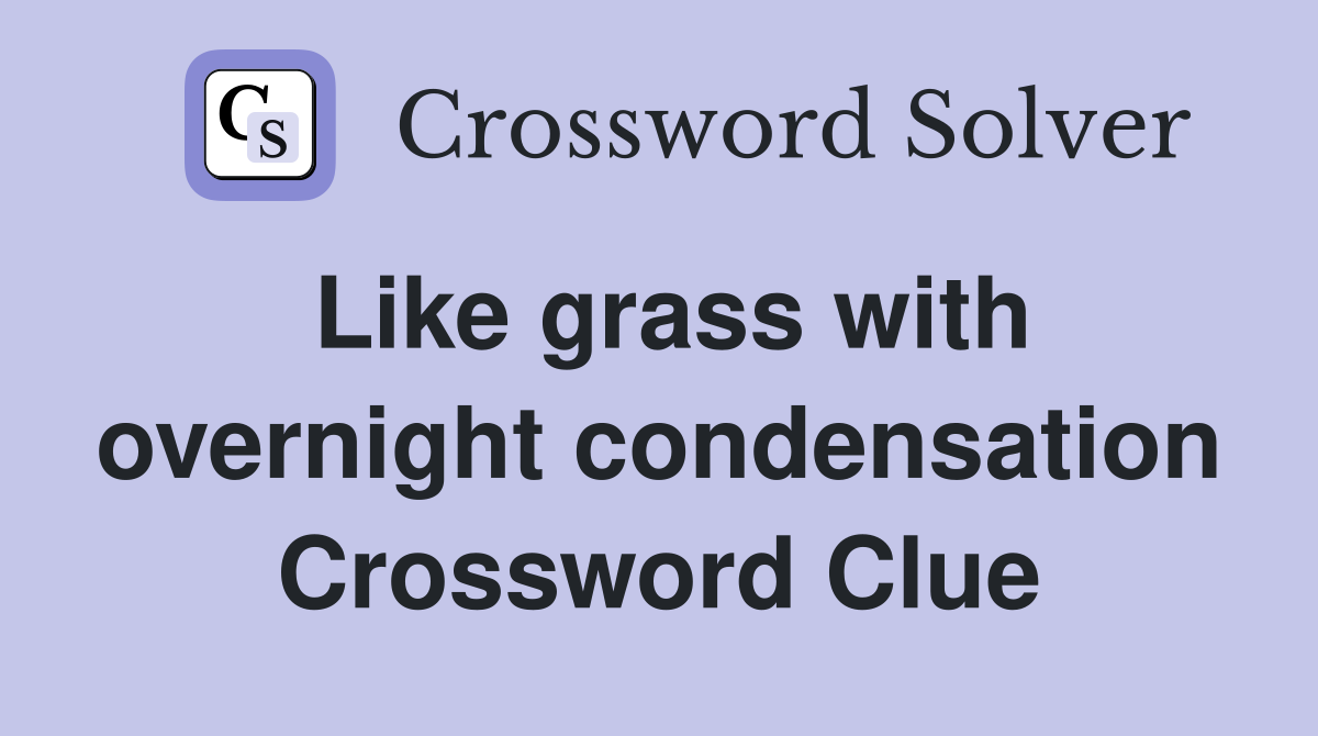 Like grass with overnight condensation Crossword Clue