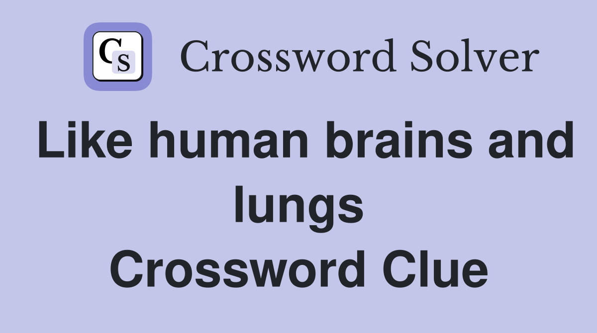 Like human brains and lungs Crossword Clue
