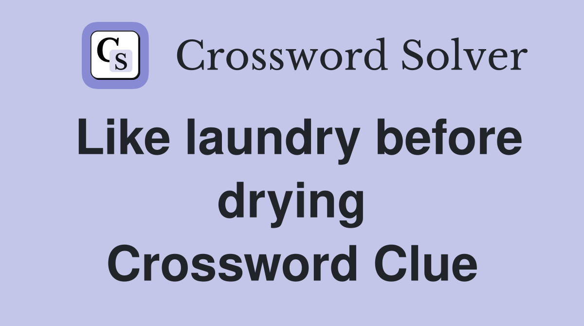 Like laundry before drying Crossword Clue