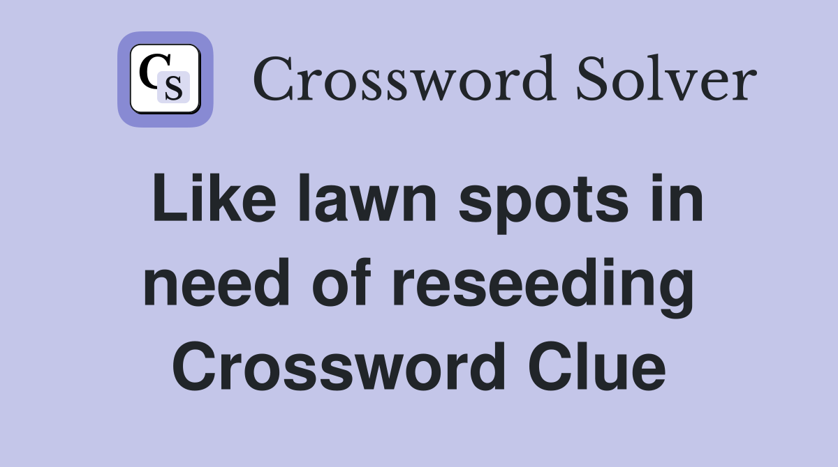 Like lawn spots in need of reseeding Crossword Clue