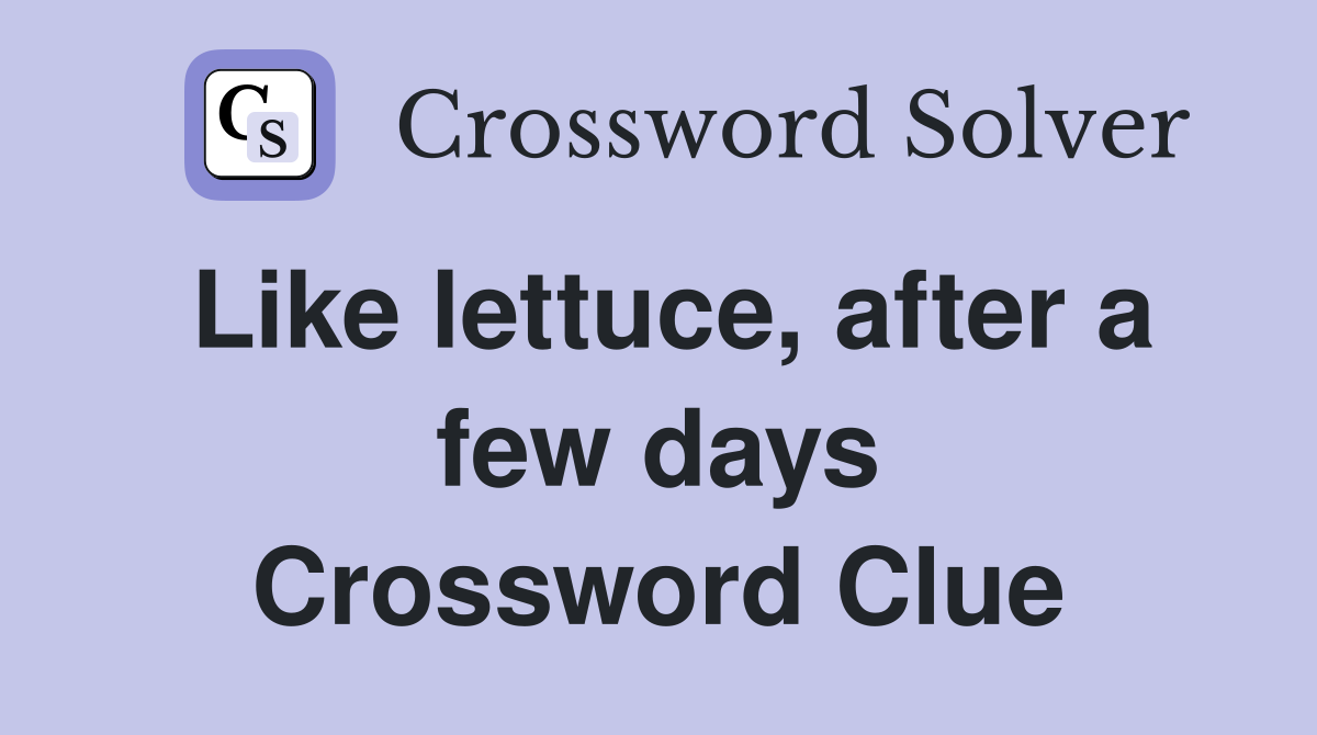 Like lettuce, after a few days Crossword Clue