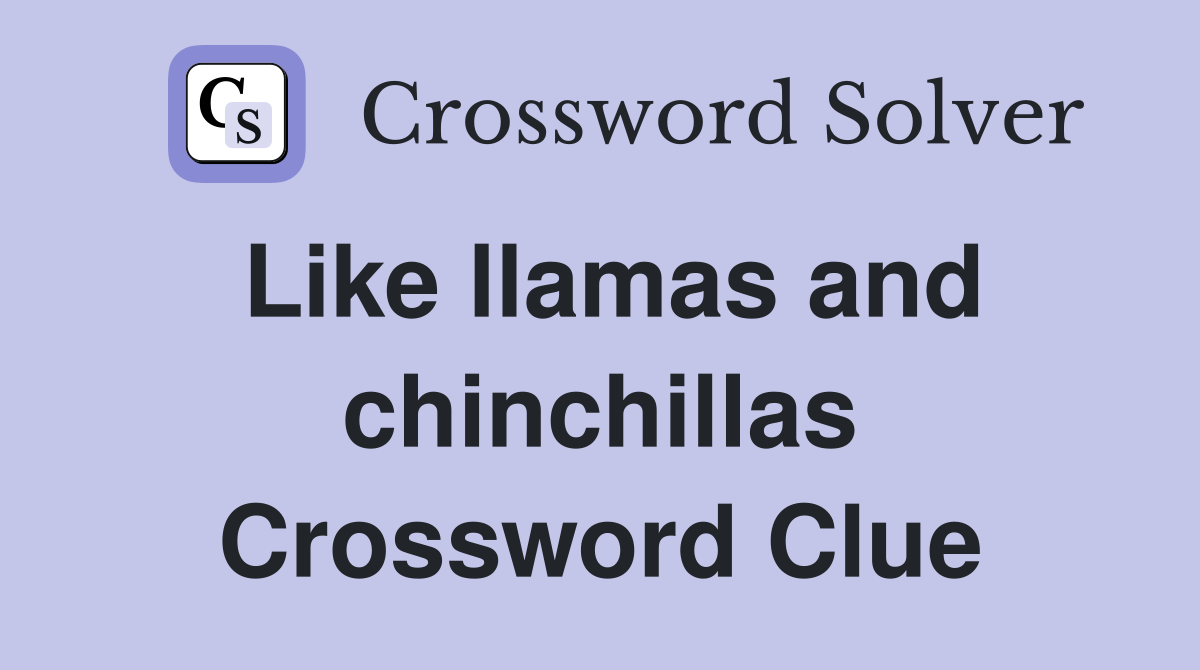 Like llamas and chinchillas Crossword Clue