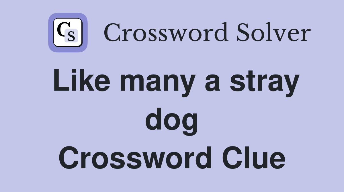 Like many a stray dog Crossword Clue