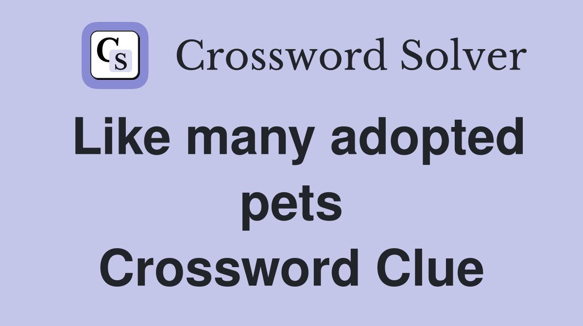 Like many adopted pets Crossword Clue