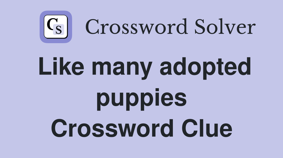 Like many adopted puppies Crossword Clue