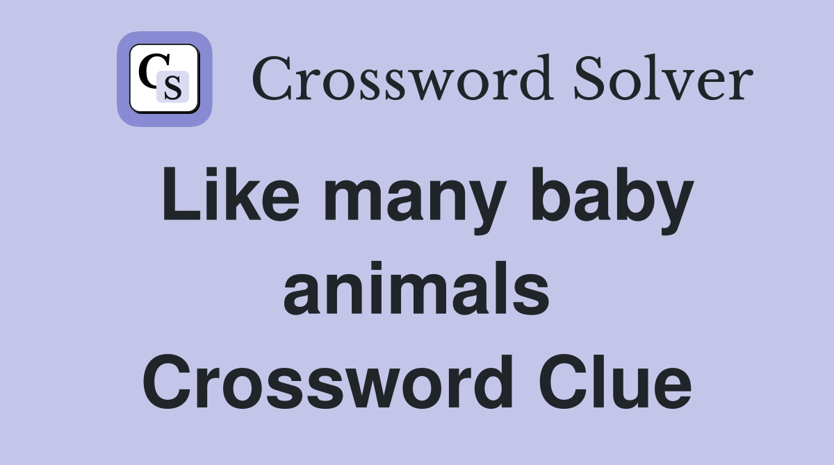 Like many baby animals Crossword Clue