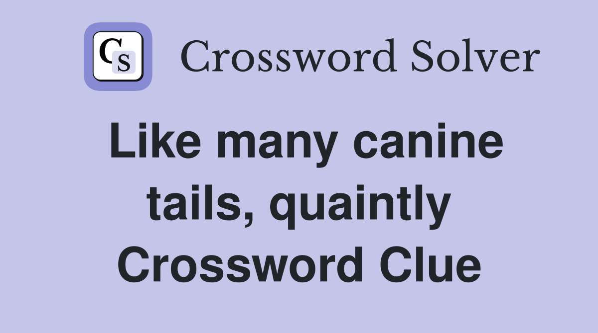 Like many canine tails, quaintly Crossword Clue