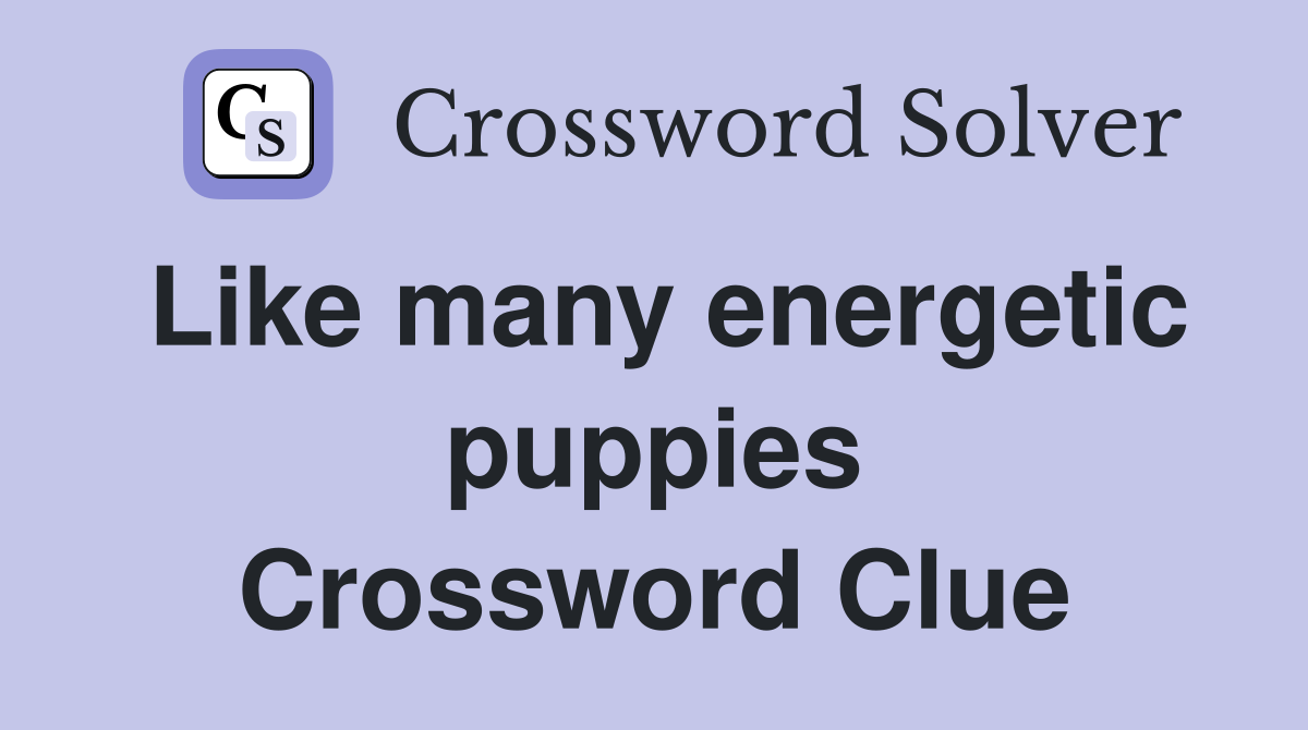 Like many energetic puppies Crossword Clue