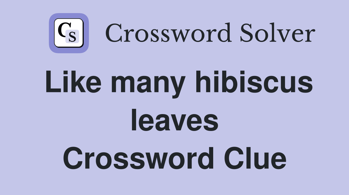 Like many hibiscus leaves Crossword Clue