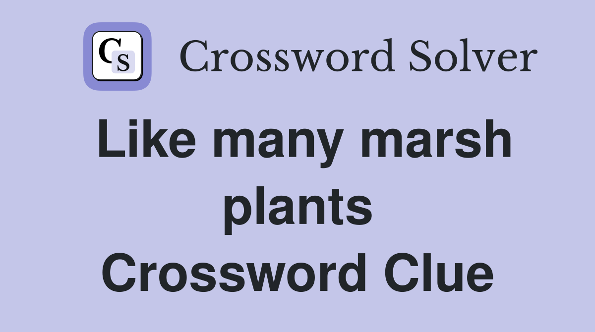Like many marsh plants Crossword Clue