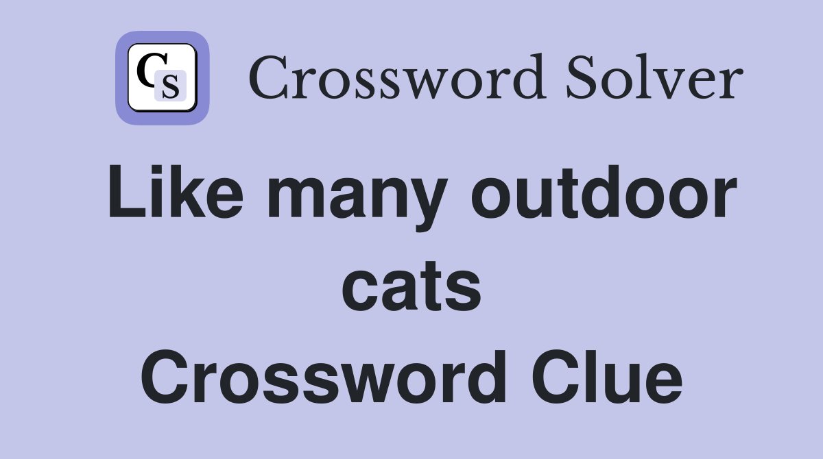 Like many outdoor cats Crossword Clue