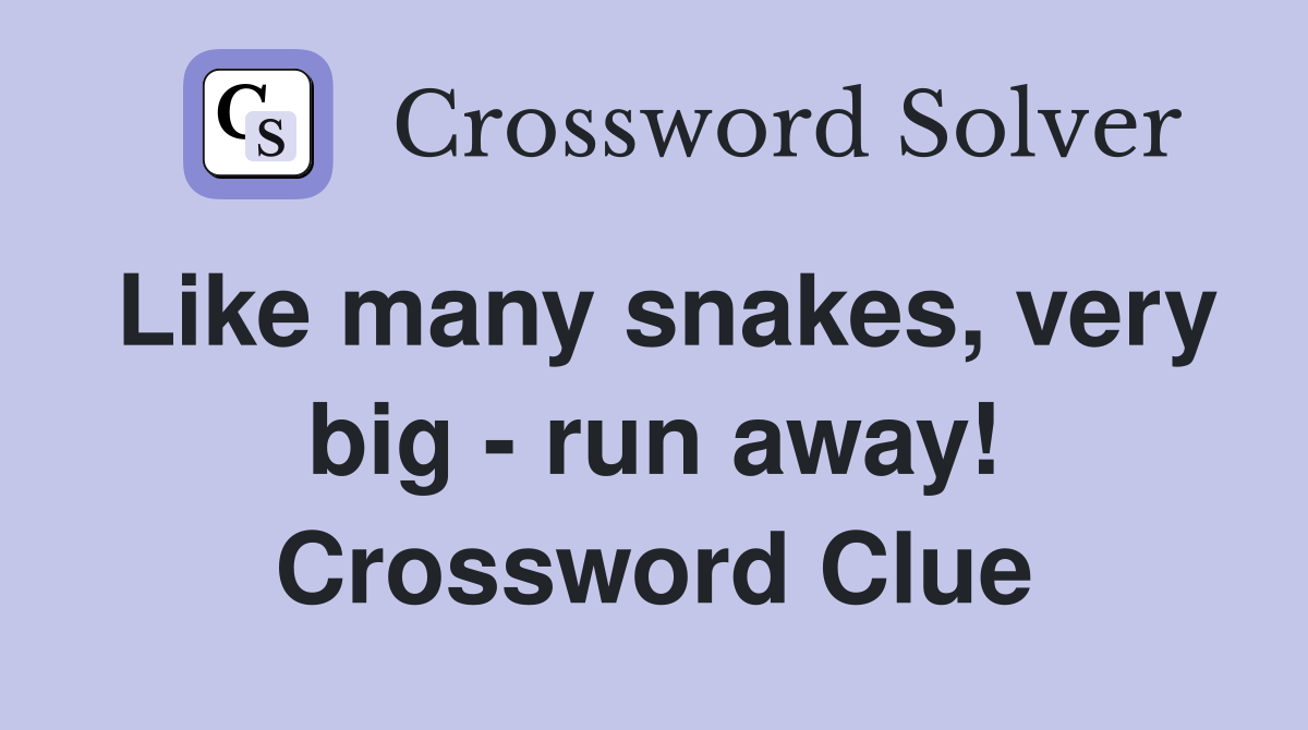Like many snakes, very big - run away! Crossword Clue