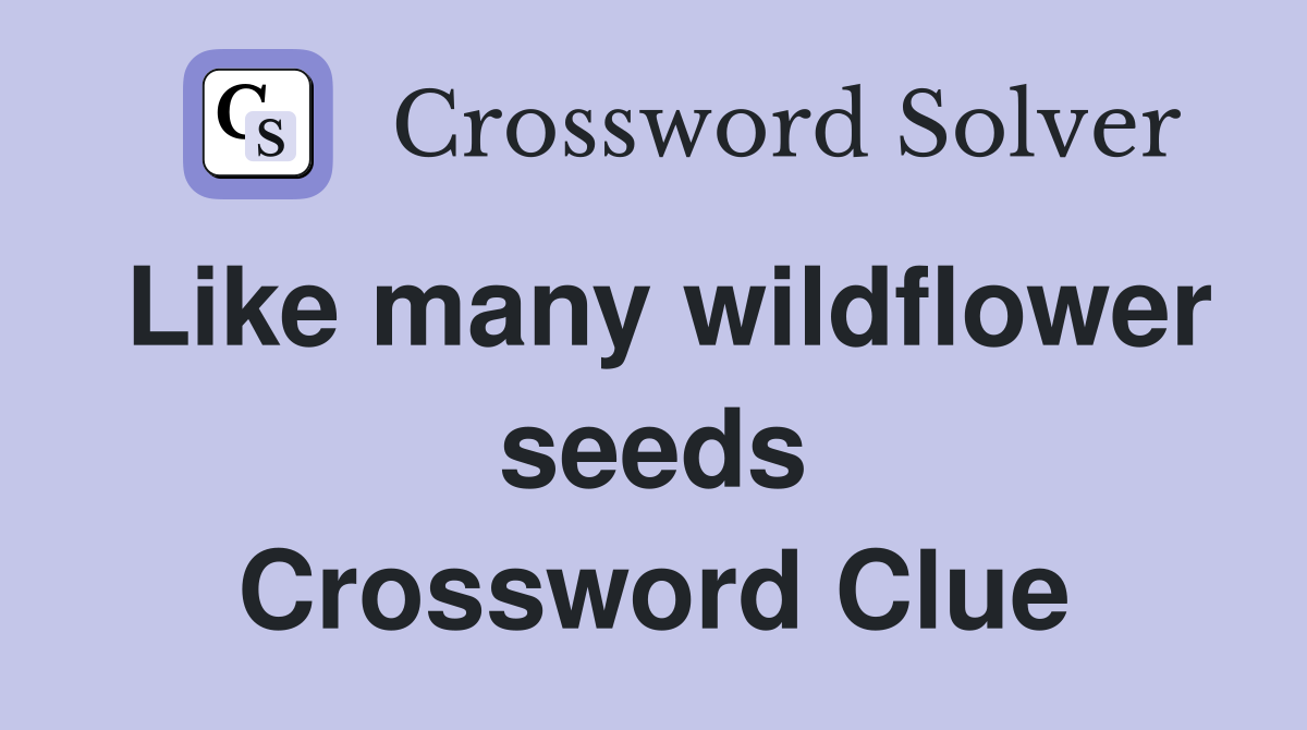 Like many wildflower seeds Crossword Clue