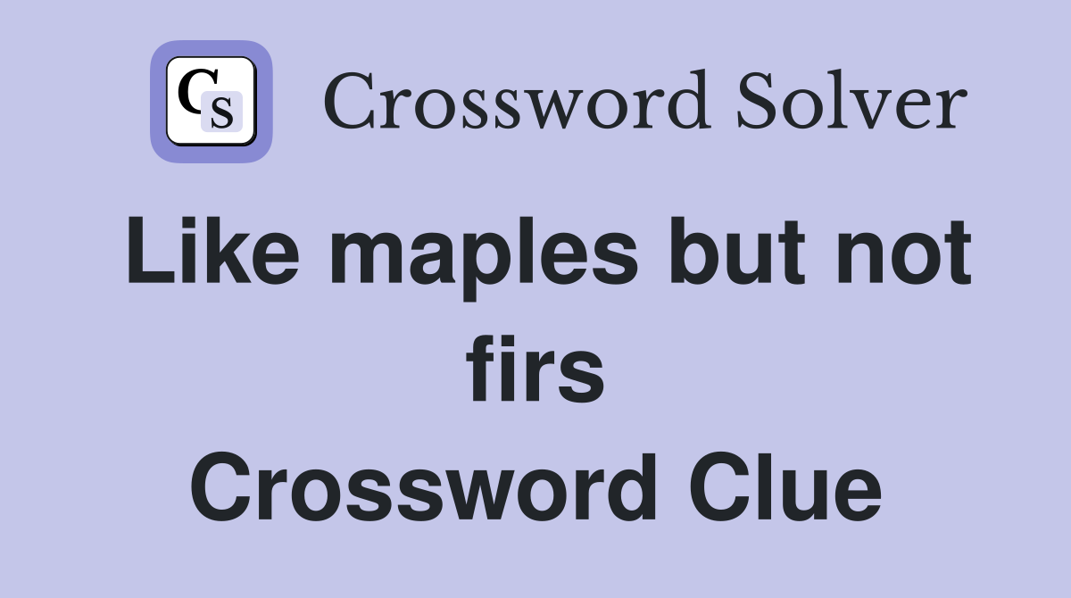 Like maples but not firs Crossword Clue