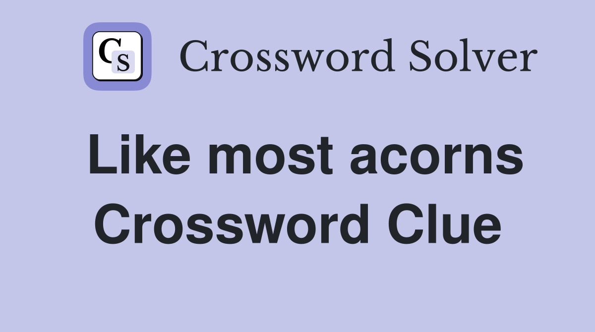 Like most acorns Crossword Clue