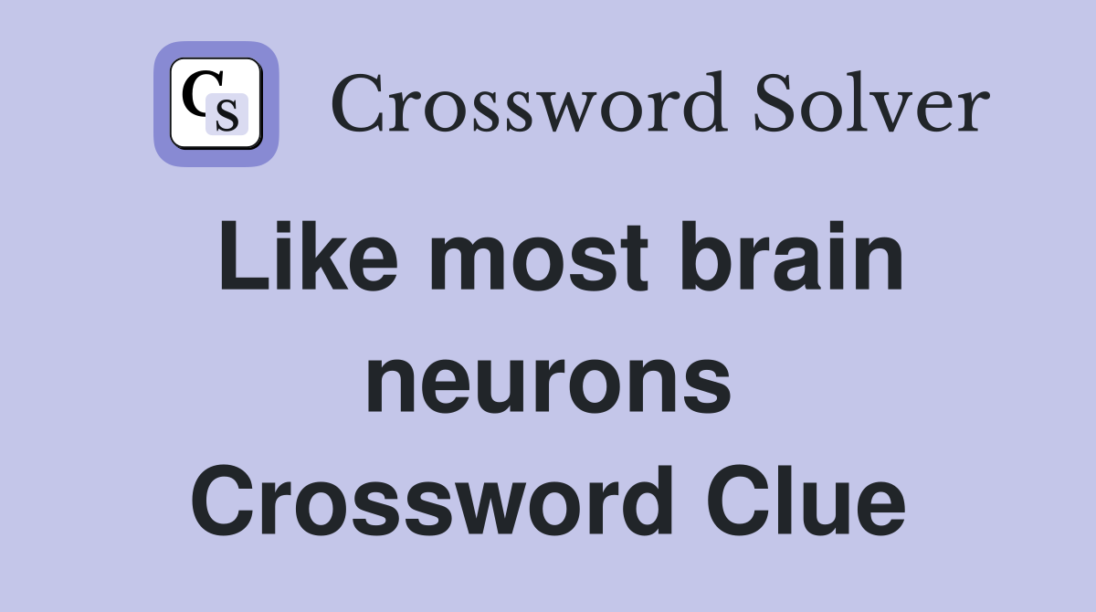 Like most brain neurons Crossword Clue